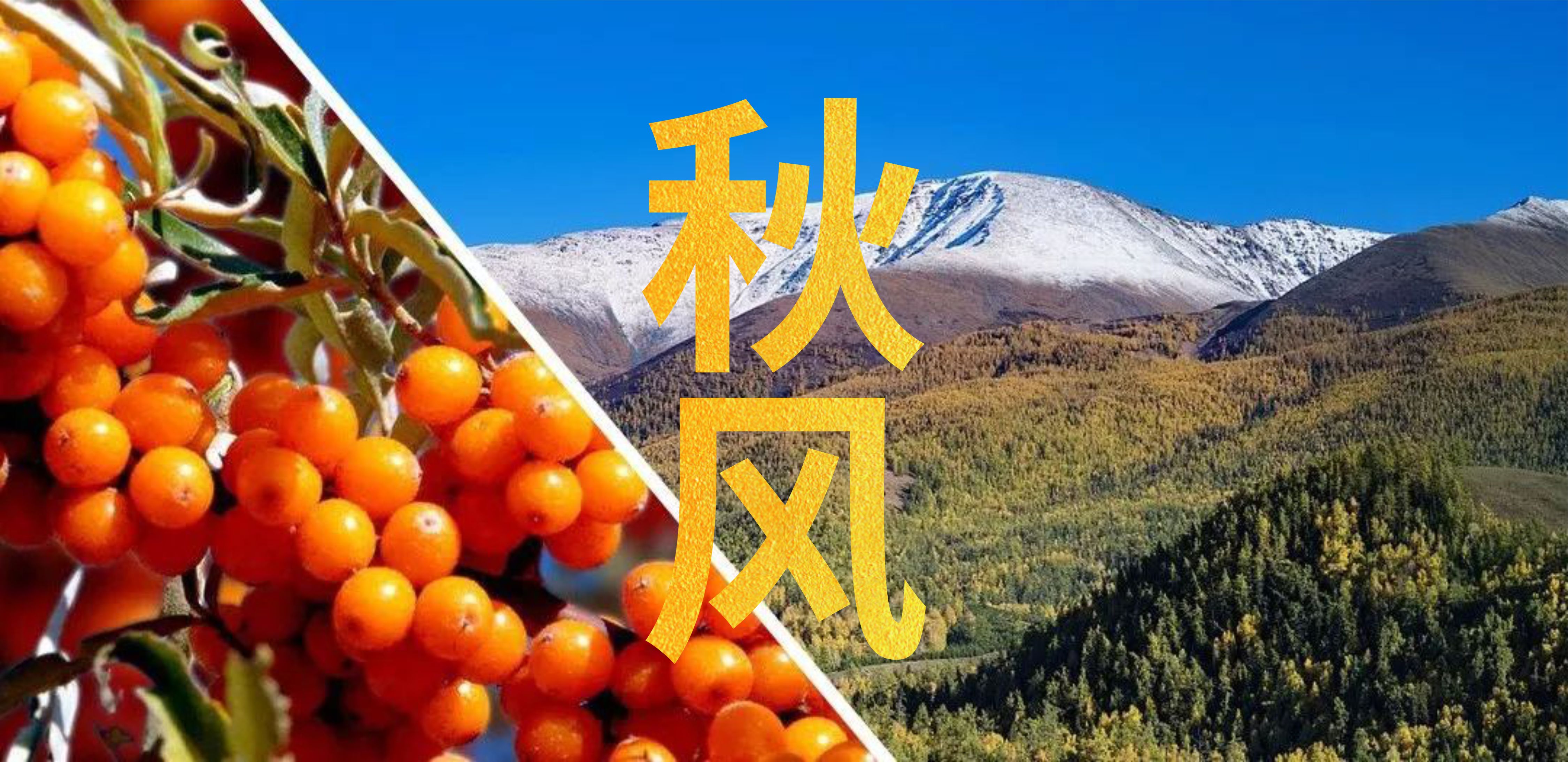 微信图片_20250923102449.jpg