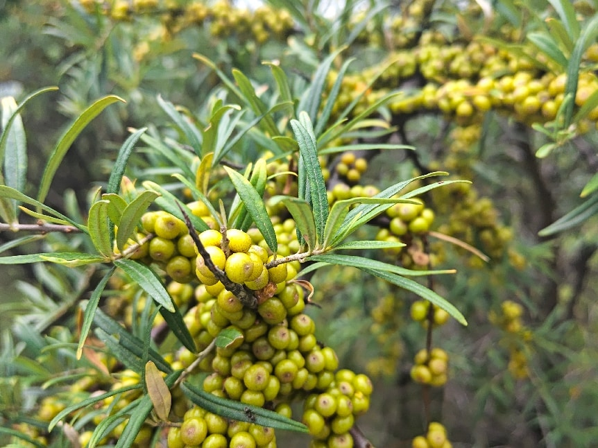 1785834421559983.png 图片3.png